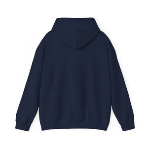 PLAYA FOR LIFE - FLY IMPRESSIONS HOODIE