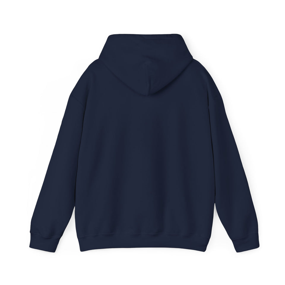 PLAYA FOR LIFE - FLY IMPRESSIONS HOODIE