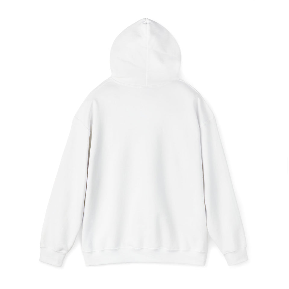 PLAYA FOR LIFE - FLY IMPRESSIONS HOODIE