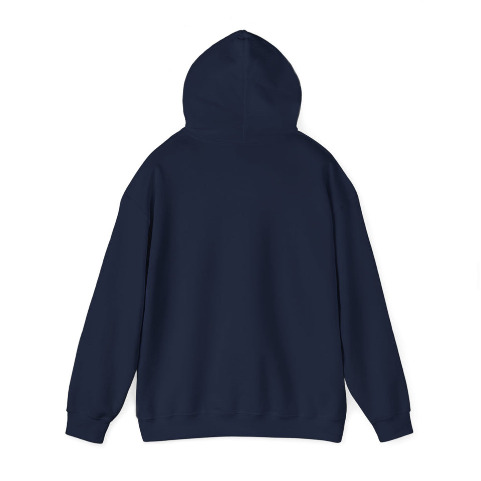PLAYA FOR LIFE - FLY IMPRESSIONS HOODIE