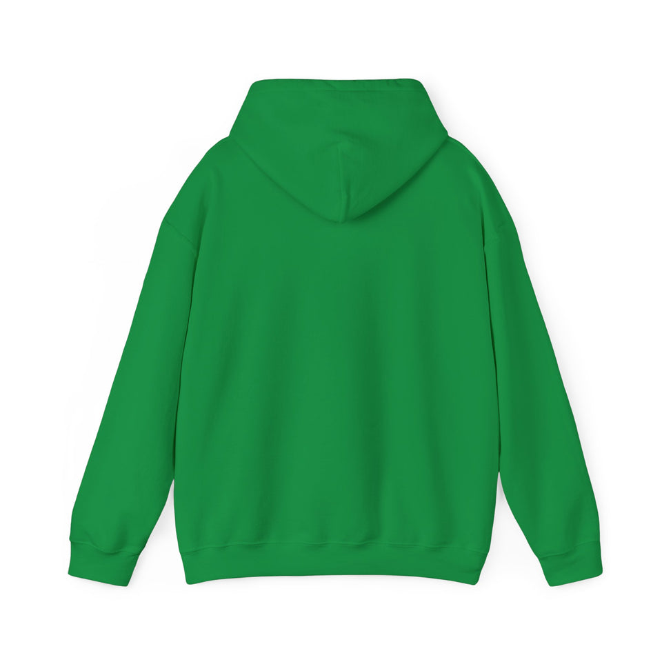 PLAYA FOR LIFE - FLY IMPRESSIONS HOODIE