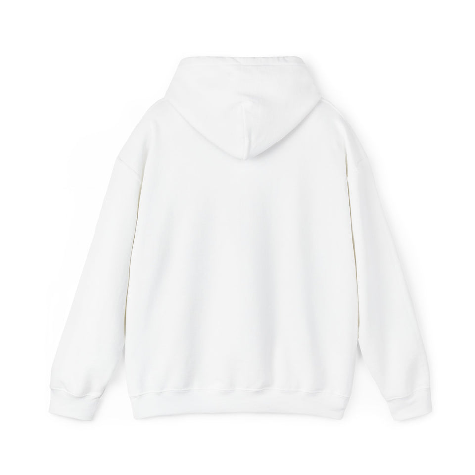 PLAYA FOR LIFE - FLY IMPRESSIONS HOODIE